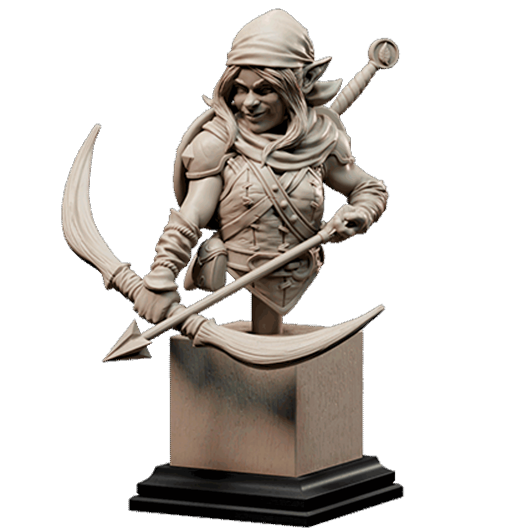 Lidda Arrowtucker Busts – Loja Torre do Mago